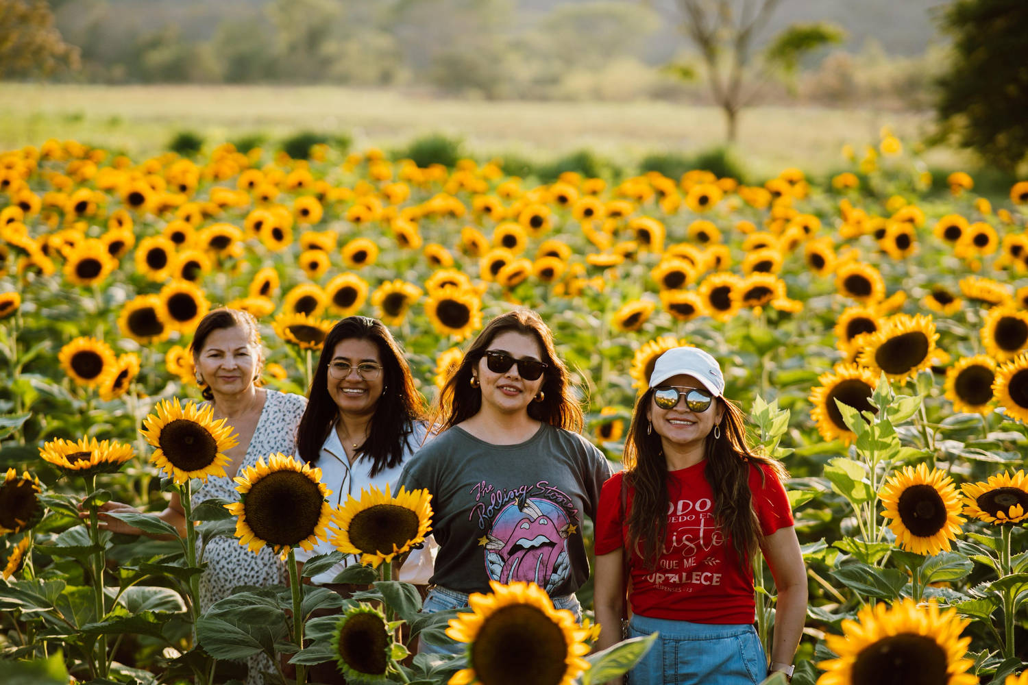 los_girasoles (3)